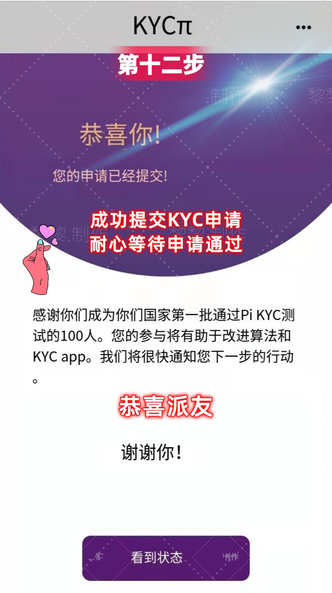 图片[12]-Pi Network最新KYC图文教程