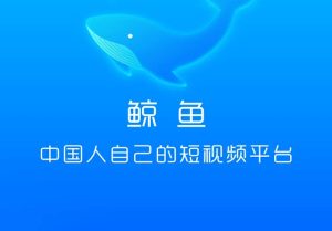 三个免费国内每日看视频实名认证赚钱App推荐：鲸鱼Meta短视频,新卷轴米兔视频,百草园零撸-零撸矿吧