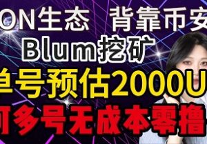 TON生态小游戏合集，手机免费零撸埋伏空投BLUM,Pixelverse,AI Gram,Catizen,TapSwap,Hamster-零撸矿吧